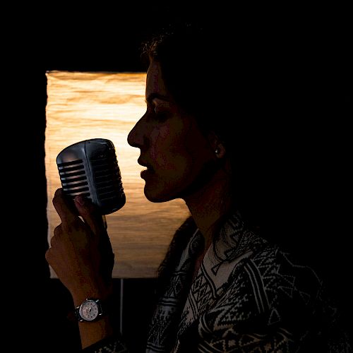 A silhouette of a person in profile holding a vintage microphone with a softly lit background. The person appears to be singing or speaking into the microphone.