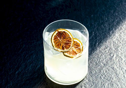 A glass with ice and sliced dried lemon wheel on a dark textured surface, catching sunlight in a minimalist, moody still-life.