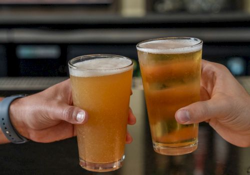 Two hands clink tall glasses of amber beer in a bar, with a blurred bookshelf background.