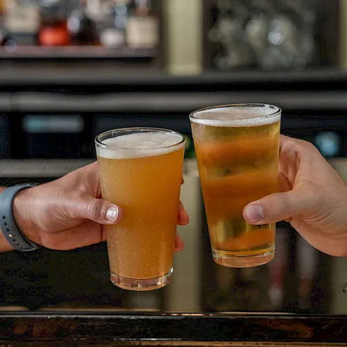 Two hands clink tall glasses of amber beer in a bar, with a blurred bookshelf background.